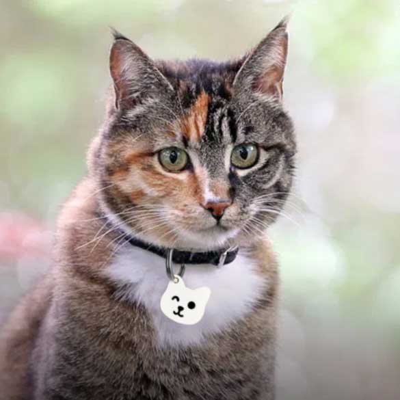 Chapas personalizadas para Mascotas - MODELO GATO
