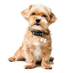 Chapas personalizadas para Mascotas - MODELO HUESO