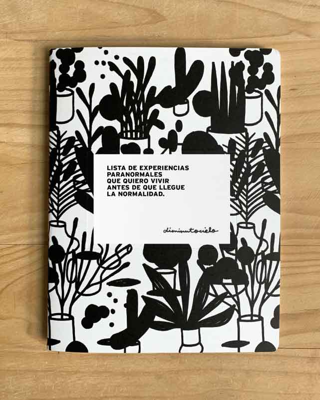 LISTA DE EXPERIENCIAS PARANORMALES QUE QUIERO VIVIR ANTES DE QUE LLEGUE LA NORMALIDAD.