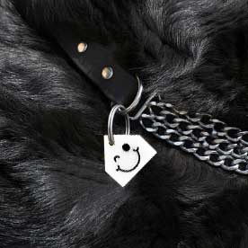 Chapas personalizadas para Mascotas - MODELO CASA